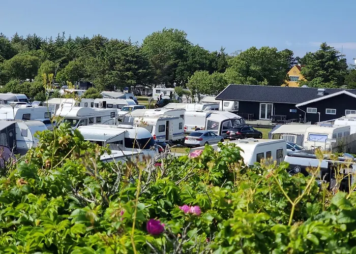 Campsite First Camp Grenen *